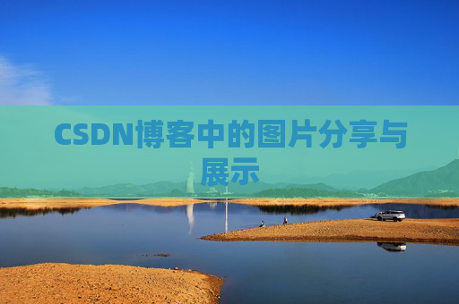 CSDN博客中的图片分享与展示